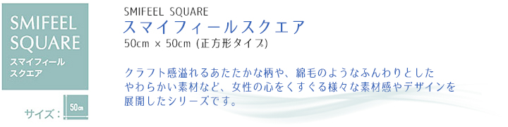 ¥¹¥Þ¥¤¥Õ¥£¡¼¥ë¥¹¥¯¥¨¥¢