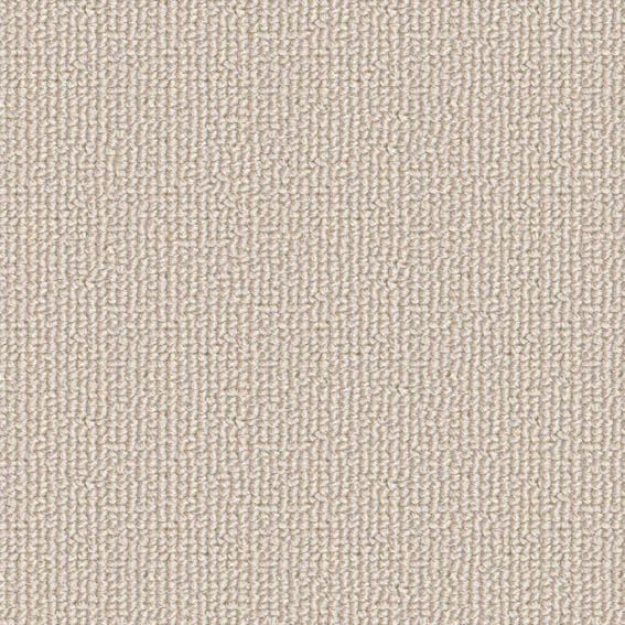 ニューエリー ER8146～ER8153 シンコール オーダーカーペット (8色/6.0mm厚/ループ/軽歩行/ロック加工あり)-ワコードープロ