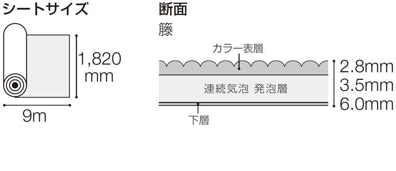 サイズ