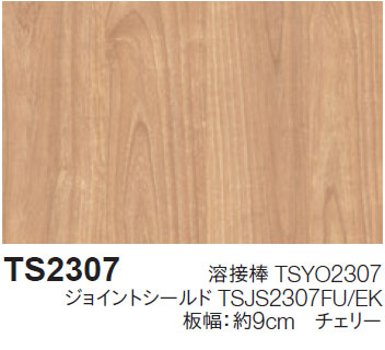 TS2307