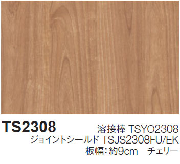 TS2308