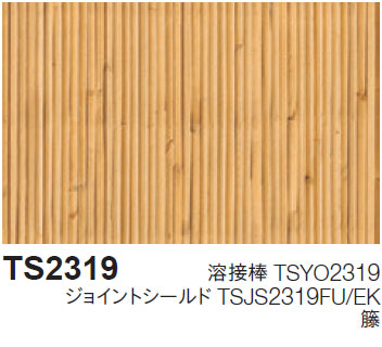 TS2319