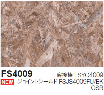 FS4009