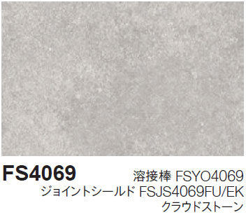 FS4069
