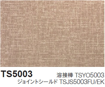 TS5003