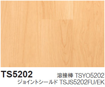 TS5202