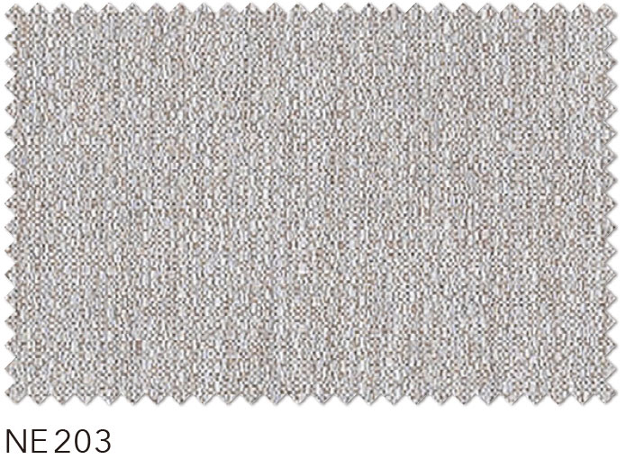 NE203