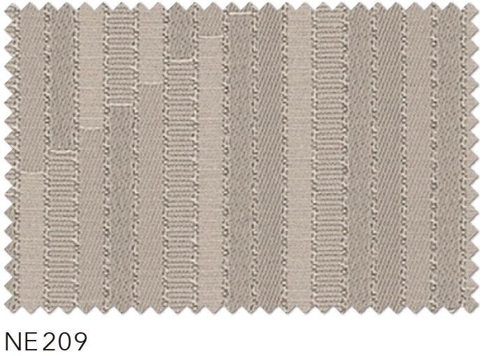 NE209