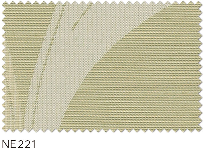 NE221