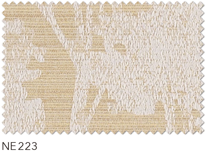 NE223