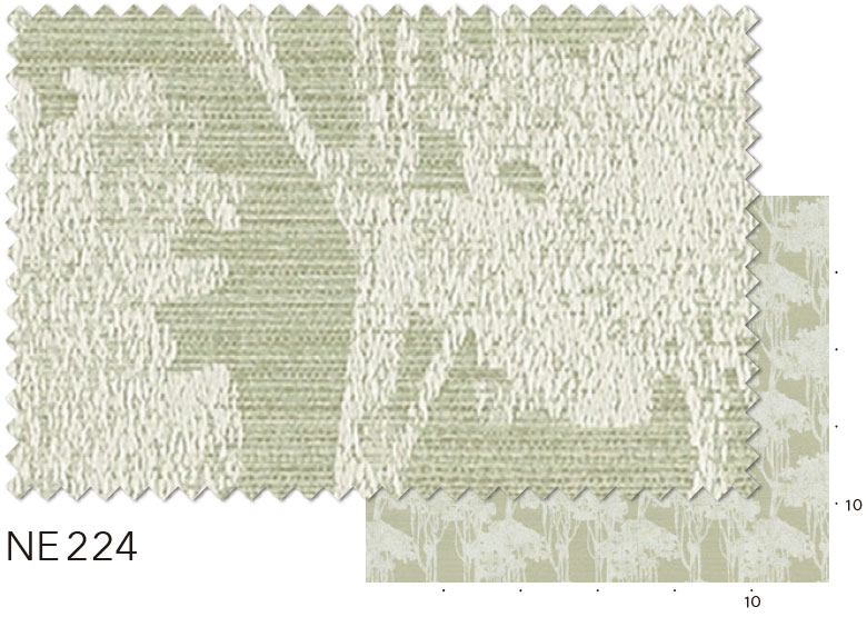 NE224