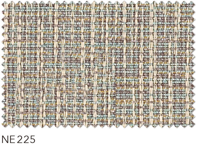NE225