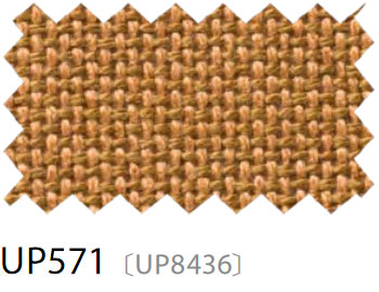 UP571