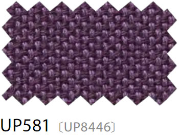 UP581