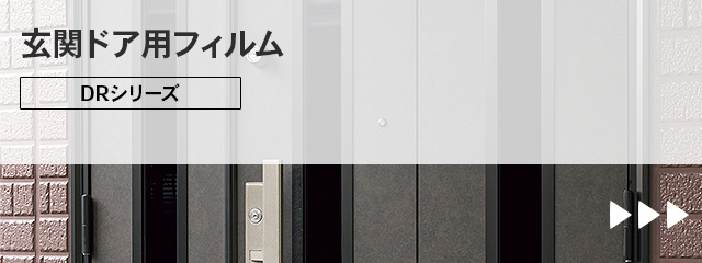 إɥѥե (DR꡼)