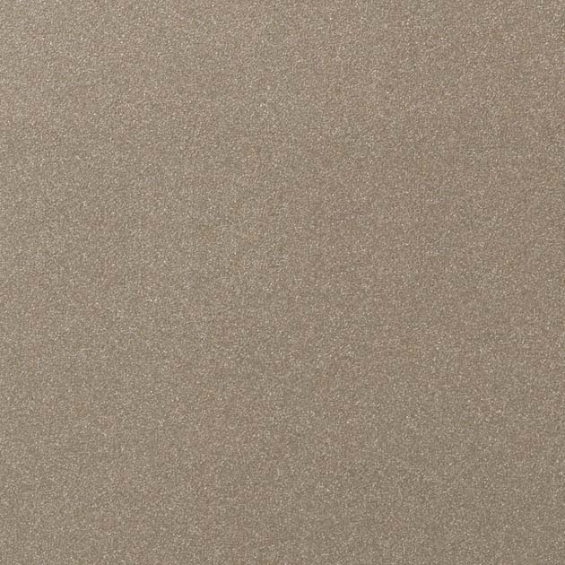 TR4379 Champagne Gold (メタリック) サンゲツ リアテック vol.12 2024