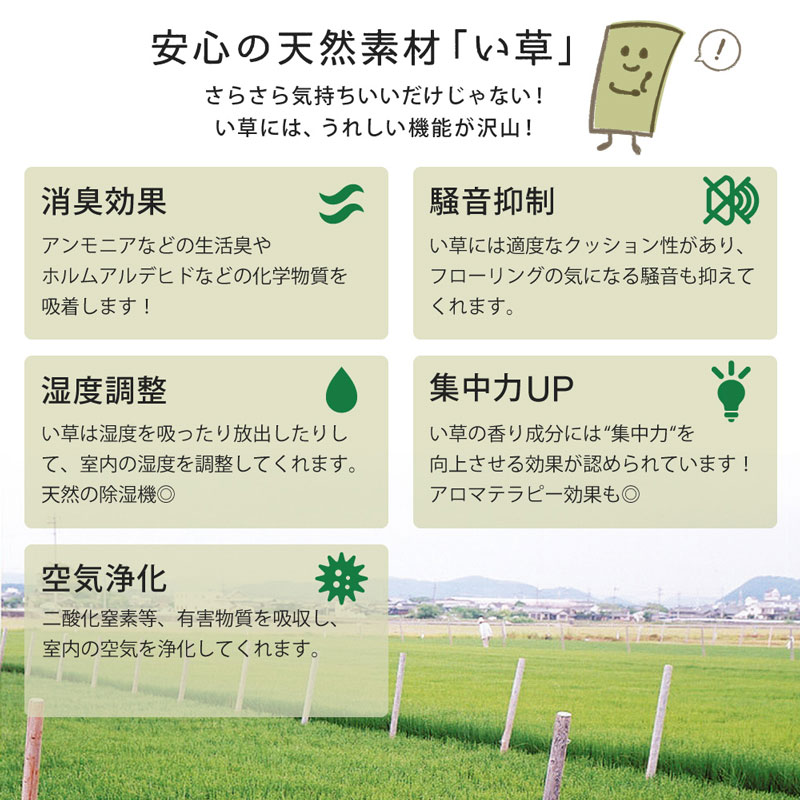 置き畳 綾川 ラクに持てる超軽量タイプ