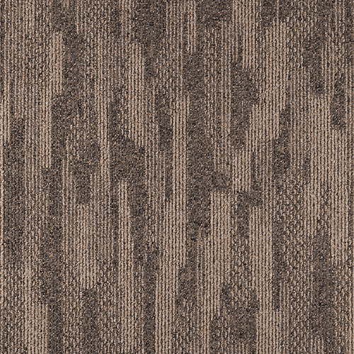 NT681