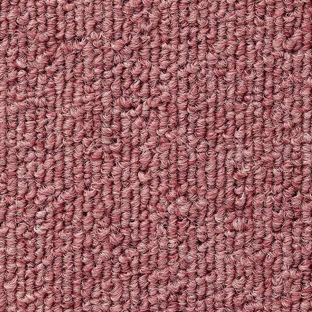 NT383