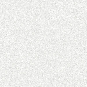  width=300px