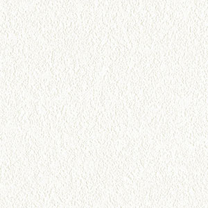  width=300px