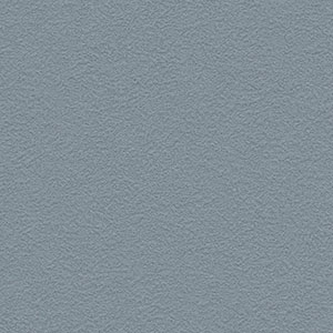  width=300px