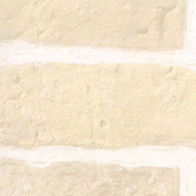 リリ様 セール】 ポリエステルスパンブロードタック ロングシャツ （シャツ