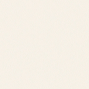 TH30247, TH30248, TH30249 [ベーシック] サンゲツ 壁紙 [FAITH