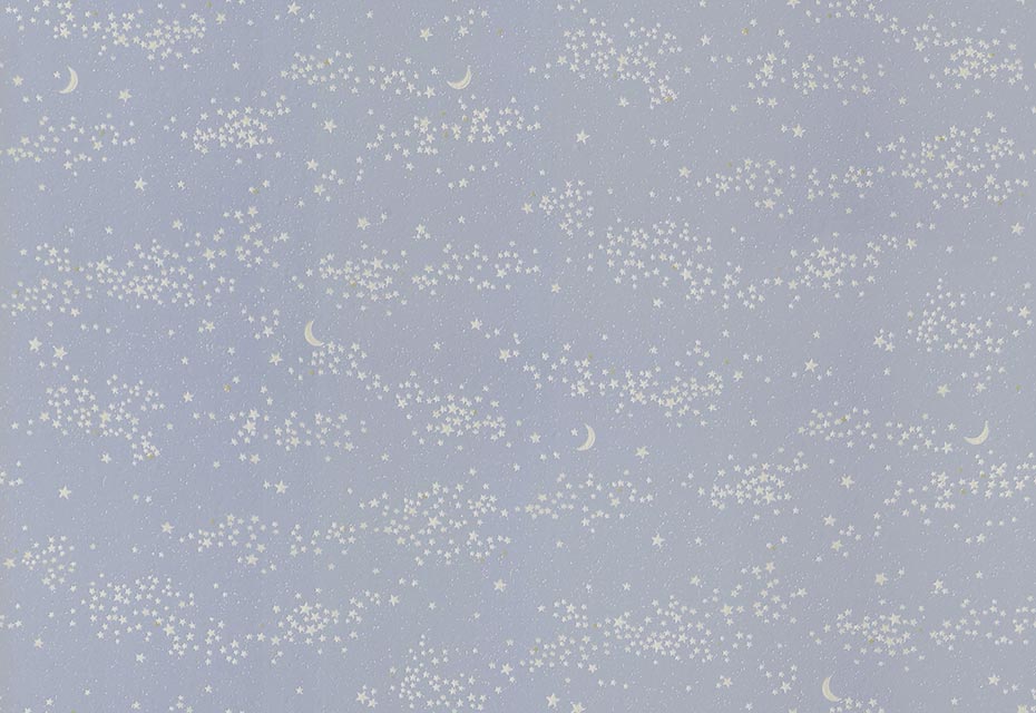 FE76864 [蓄光壁紙] サンゲツ 壁紙 FINE ファイン 2023-26 m販売