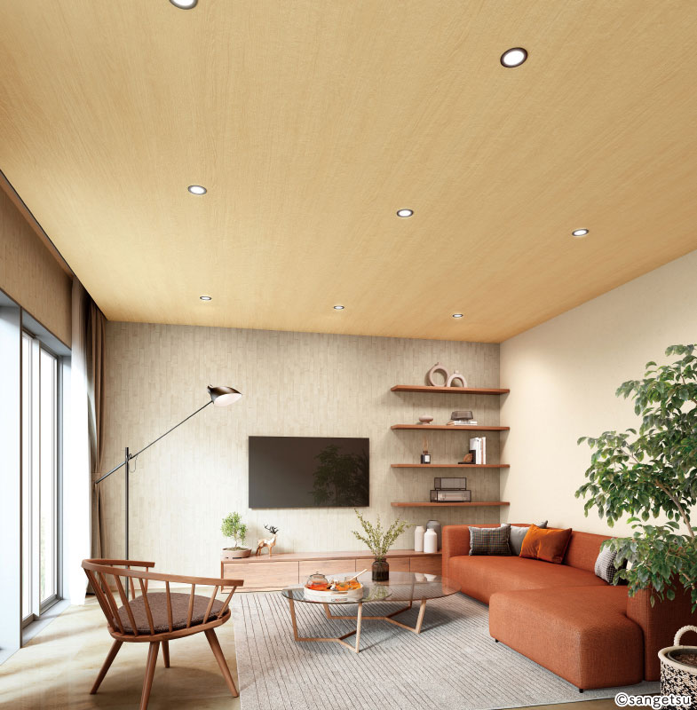 RE55595 RE55596 サンゲツ 壁紙 リザーブ 2024-27