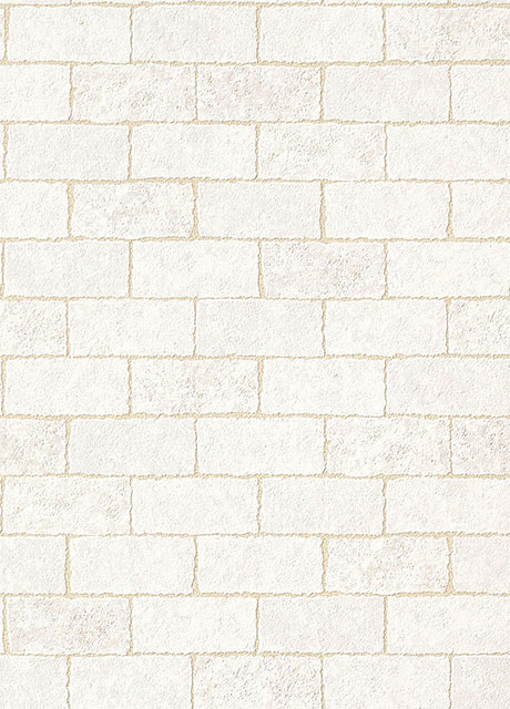 NEWオーダー表 RE55682 サンゲツ 壁紙 リザーブ 2024-27