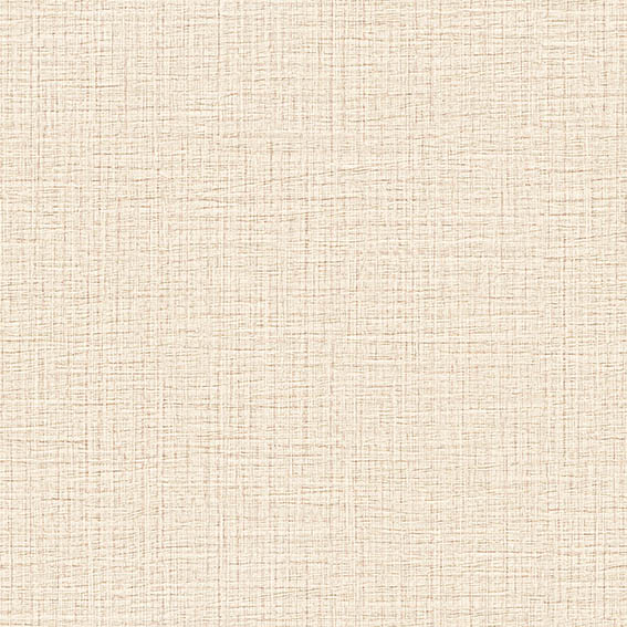 superstar adidas coloré