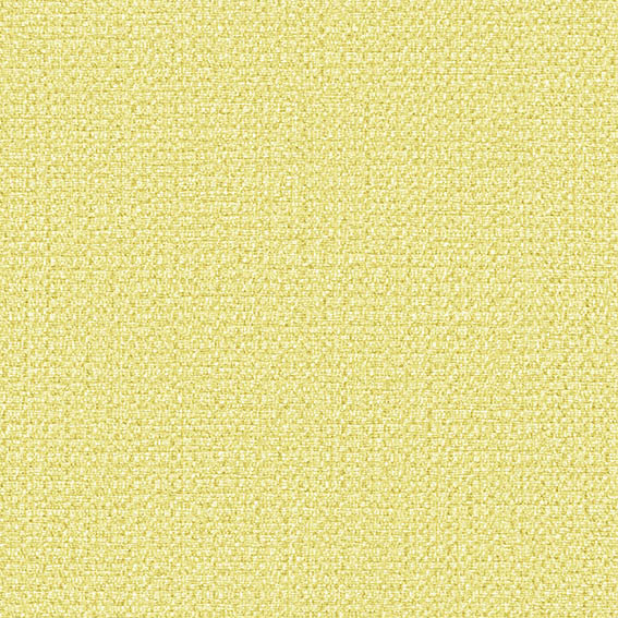 美品⭐︎45R ⭐︎ナイロン　ベスト　ブラウン 45R(フォーティファイブアール) 麦サテンのエプロンドレス