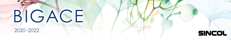 BIGACE 2020-2022