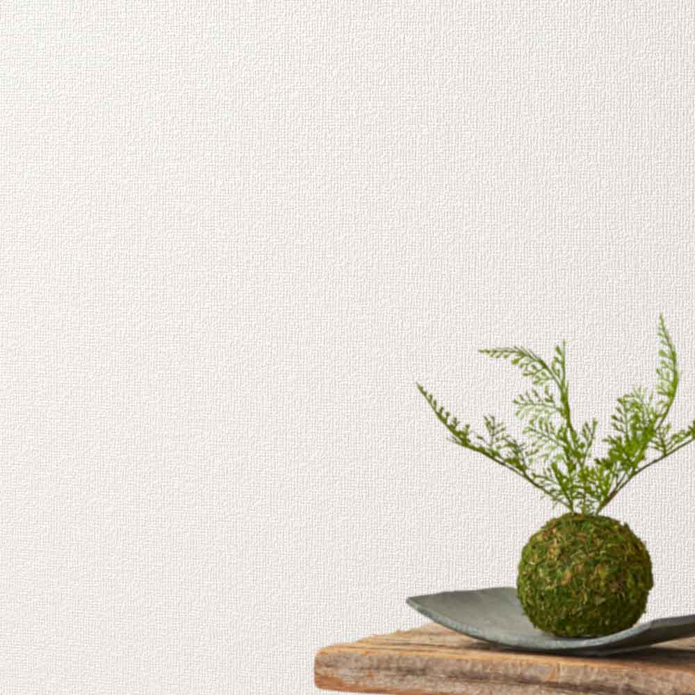 RJ5787 [リフォーム上手] シンコール 壁紙 (F汚れ防止/抗菌/防かび) m販売