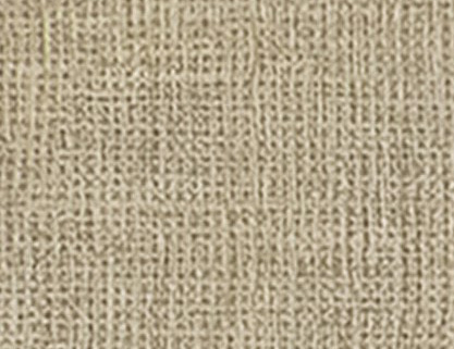 WVP8243～8247 抗菌ベーシック 軽量・表面強化・抗菌・撥水 東リ 不燃